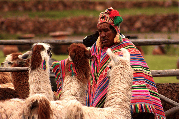 inca trail facts inca trail facts